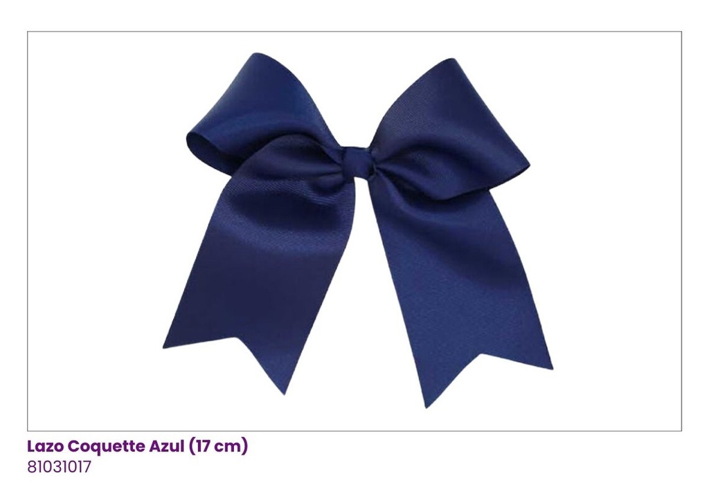 LAZOS COQUETTE AZUL