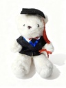 PELUCHE OSO GRADUADO 30CM