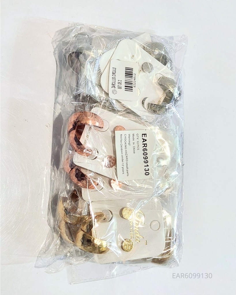 ZARCILLOS ARGOLLAS CIRCULO SET DE 2