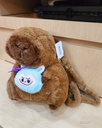 PELUCHES BOLSO CAPYBARA 
