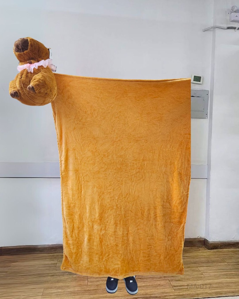 PELUCHES COBIJA CAPYBARA