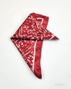 PAÑOLETA SEDA ESTAMPADA