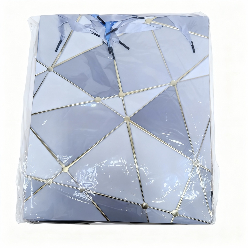 BOLSA DE REGALO GRANDE ABSTRACTAS CON FIGURAS GEOMETICAS