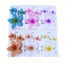 GANCHETA HAWAIANA X3