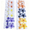 GANCHETA HAWAIANA X3