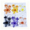 GANCHETA HAWAIANA X3