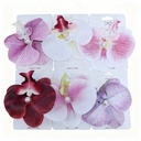 GANCHOS FLOR ORQUIDEA 