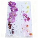 GANCHOS FLOR ORQUIDEA 