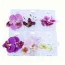 GANCHOS FLOR ORQUIDEA 