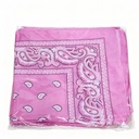 PAÑOLETAS  BACTERIAS ROSADA 