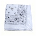 PAÑOLETAS BACTERIAS BLANCA 