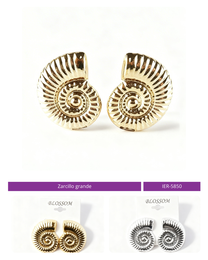 ZARCILLO GRANDE CARACOL 