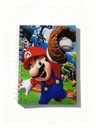 LIBRETAS MARIO BROS