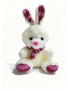 PELUCHES OSITO PEQUEÑO (20 CM)