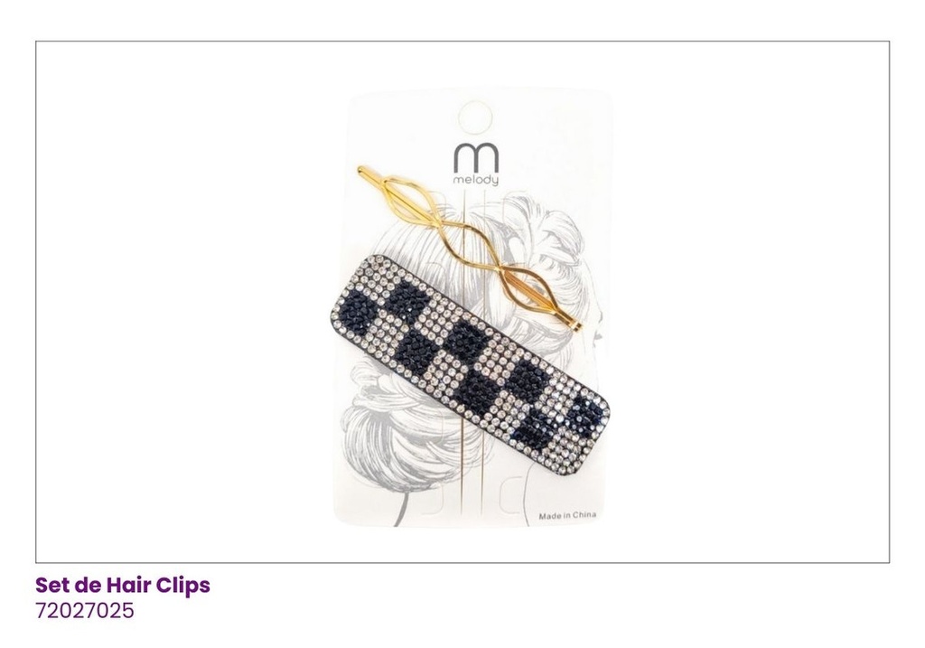 HAIR CLIPS SET DE 2