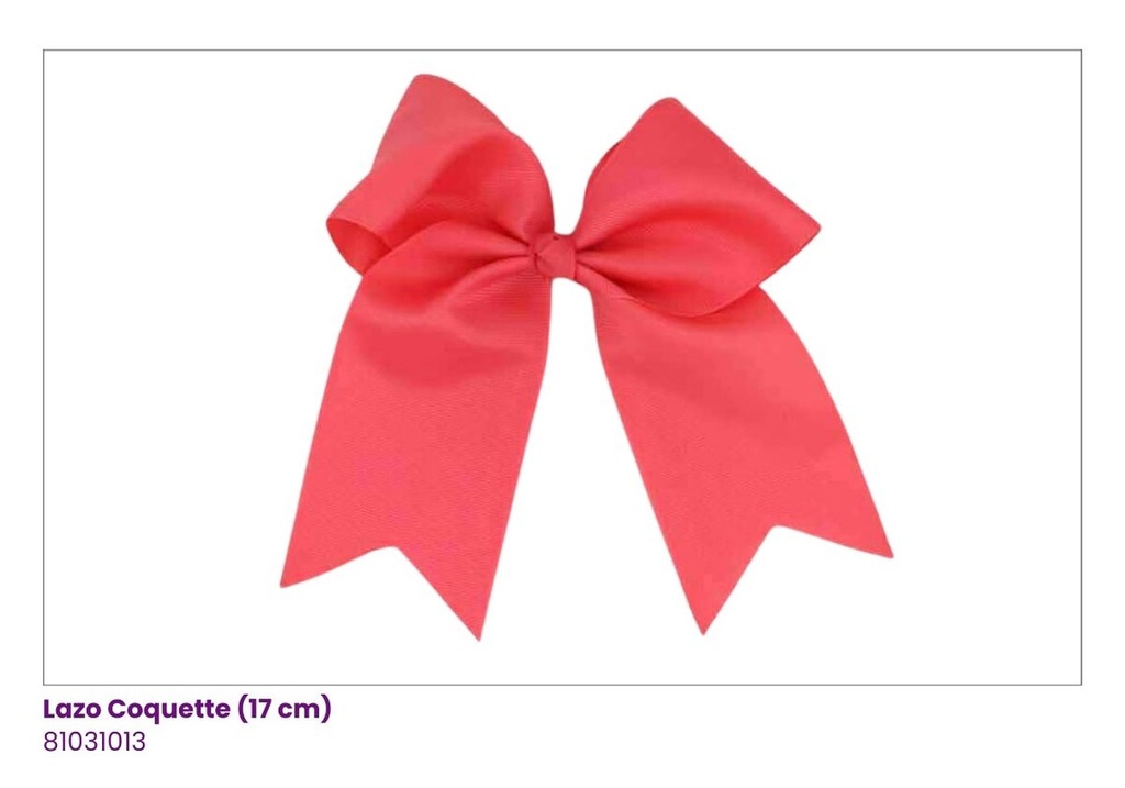 LAZOS COQUETTE FUCSIA (17CM)