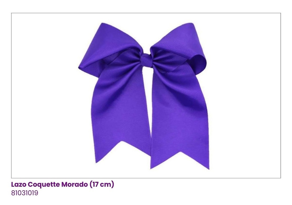 LAZOS COQUETTE MORADO