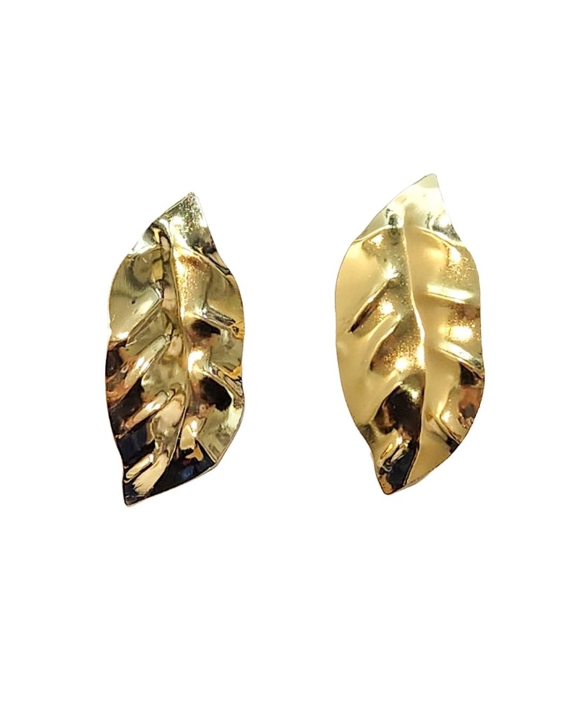 ZARCILLOS LARGOS HOJA