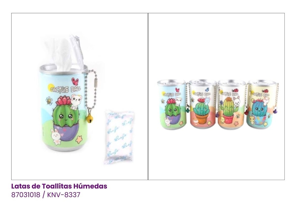 LATAS DE TOALLITAS HUMEDAS CACTUS