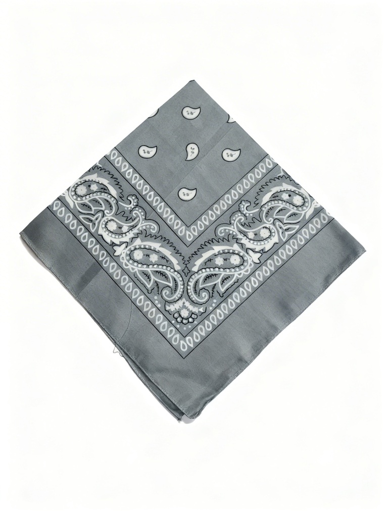 PAÑOLETAS BACTERIAS GRIS