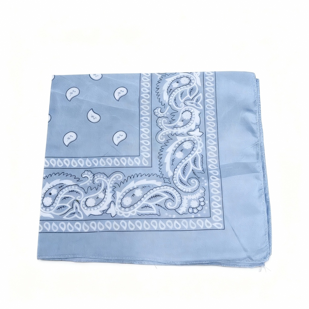 PAÑOLETAS BACTERIAS GRIS