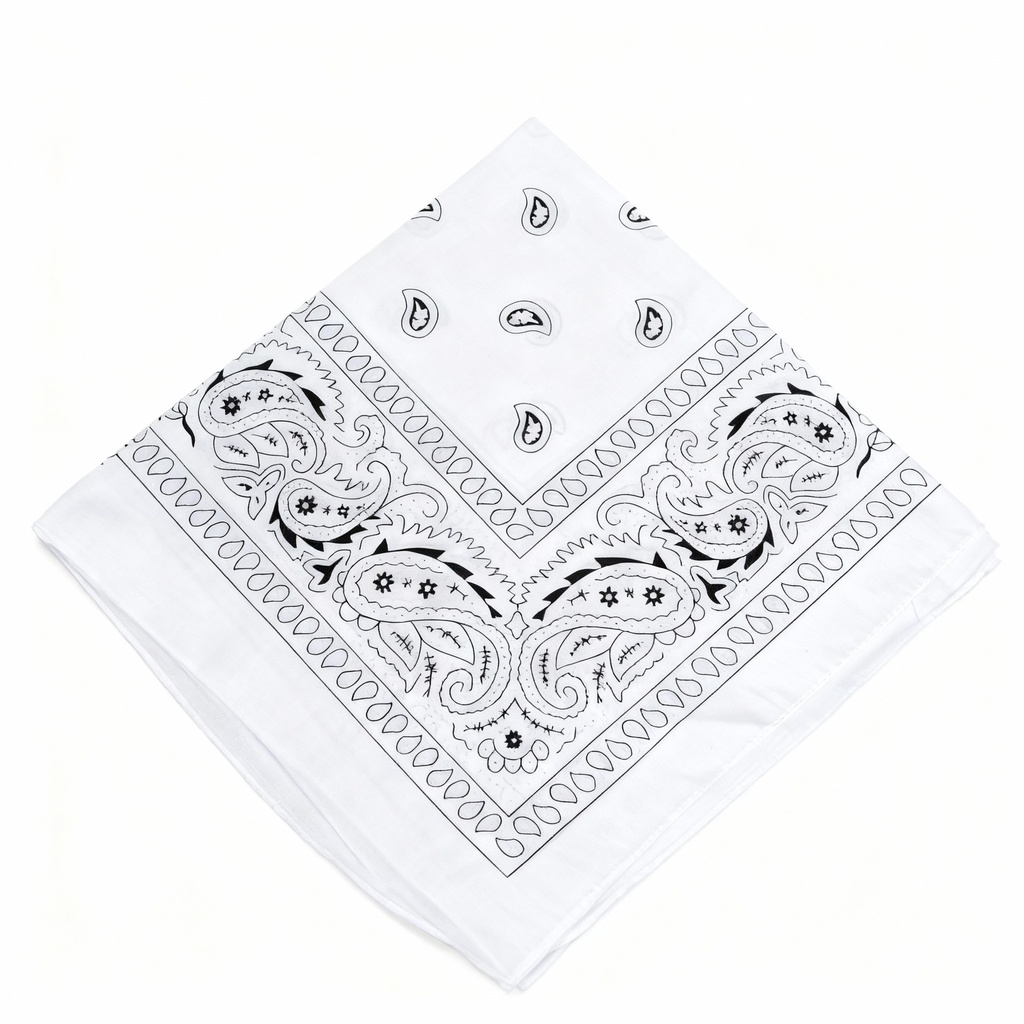 PAÑOLETAS BACTERIAS BLANCA 