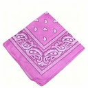 PAÑOLETAS  BACTERIAS ROSADA 