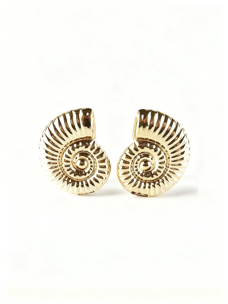 ZARCILLO GRANDE CARACOL 