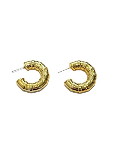 [81031004] ZARCILLOS ARGOLLAS