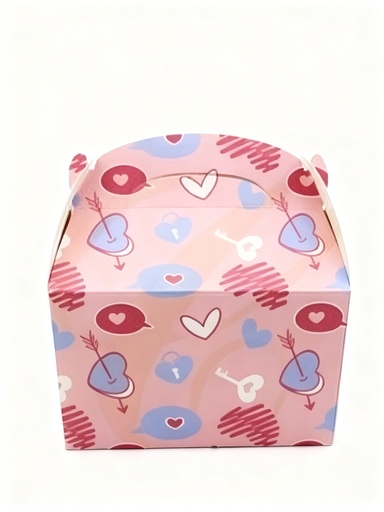 [SBX-0180] CAJAS DE REGALO X25