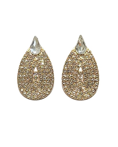 [CR3642] ZARCILLOS BRILLANTES