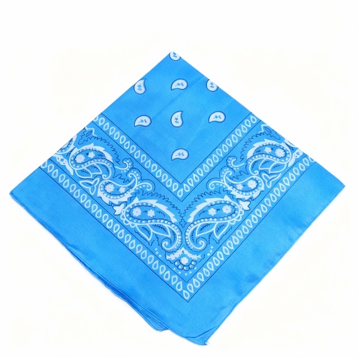 [PV-2007] PAÑOLETAS BACTERIAS AZULES 